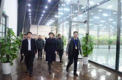 市總“送萬福、進萬家”書法公益活動走進華紡